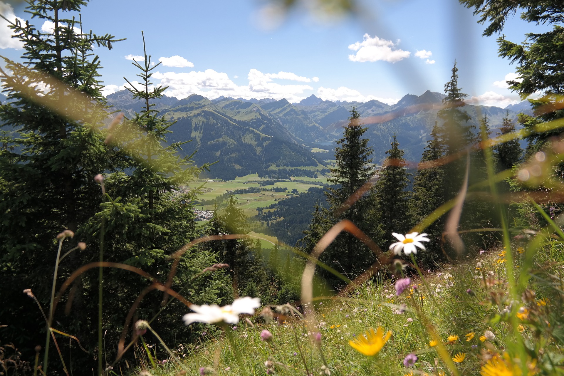 Gästehaus, Ferienwohnung Schemminger, Fischen im Allgäu